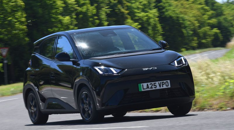 BYD Dolphin Surf en bref